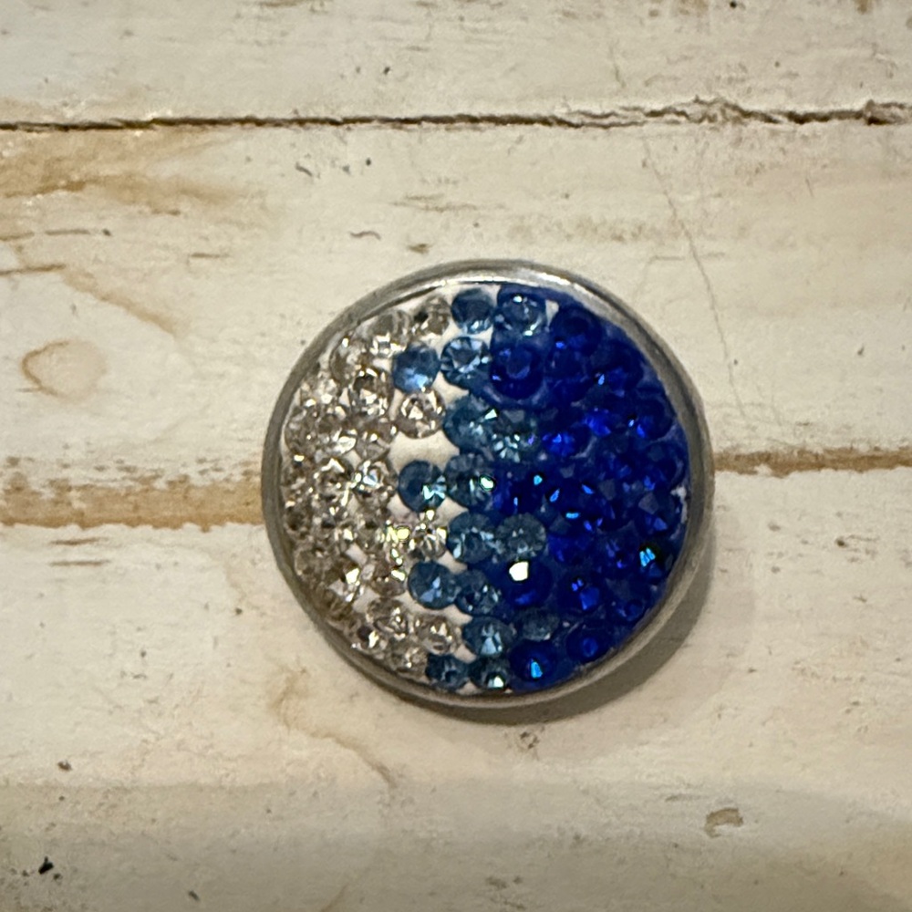 Elegant Blue and Silver Ginger Snaps - Picture 4 of 5